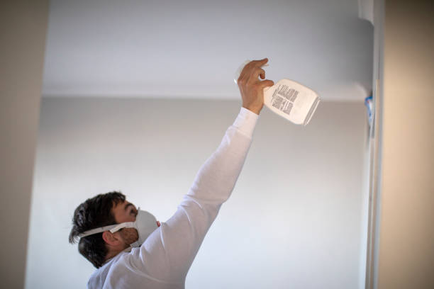 Best Home Mold Removal  in Coral Gables, FL