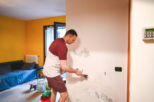 Best Mold Damage Repair  in Coral Gables, FL